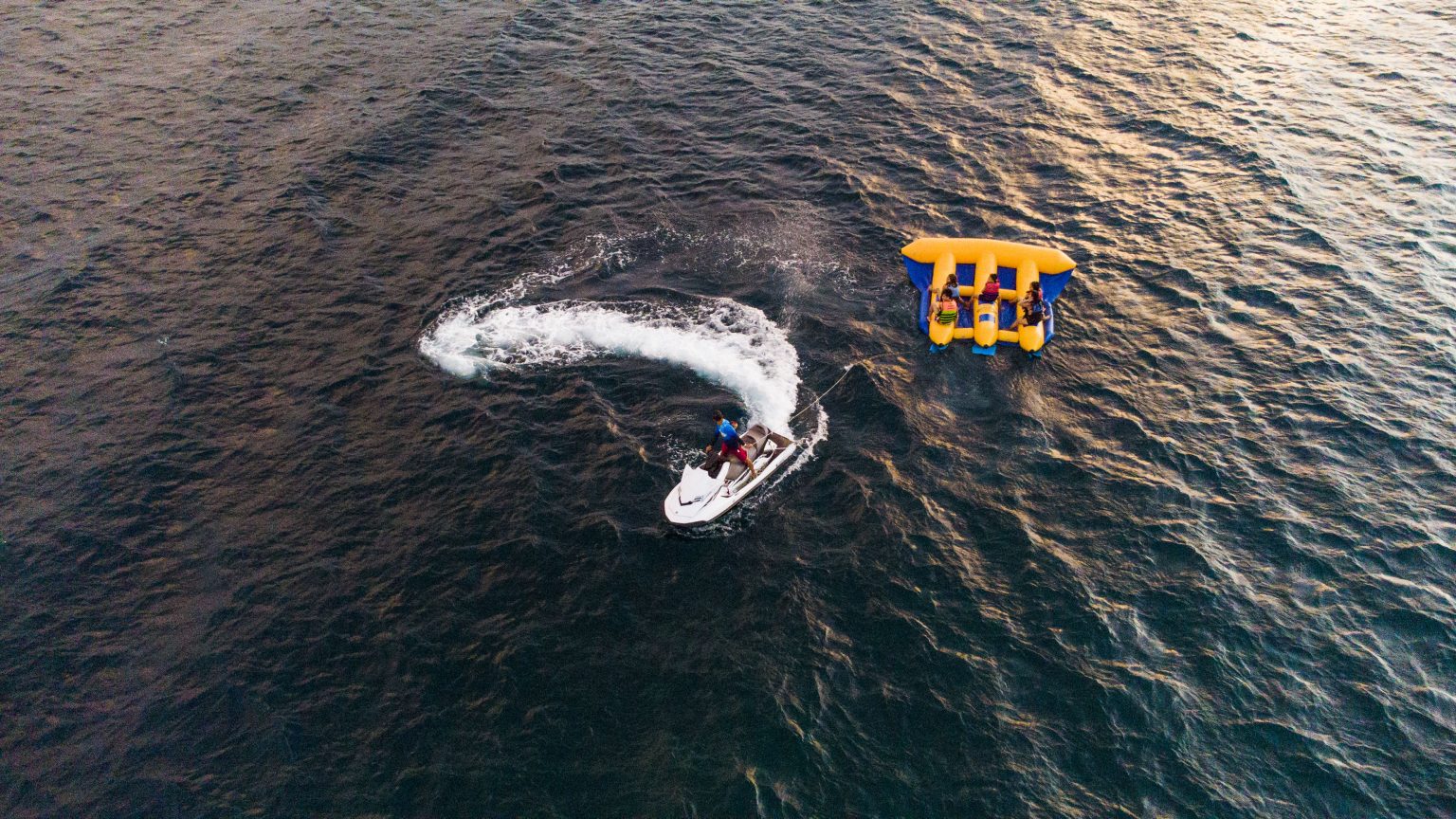 Flying fish activity